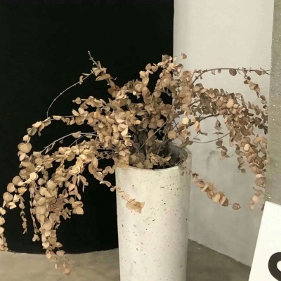 Furry角色动作设计FurryQQ群